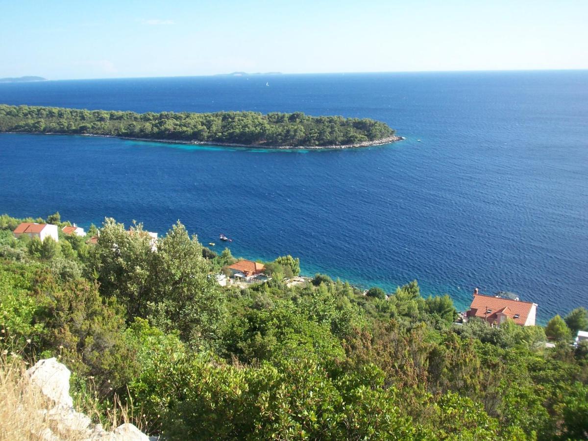 Apartmán Maskovic Karbuni *